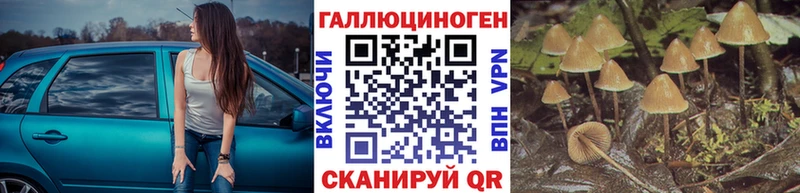 Псилоцибиновые грибы прущие грибы Кимовск